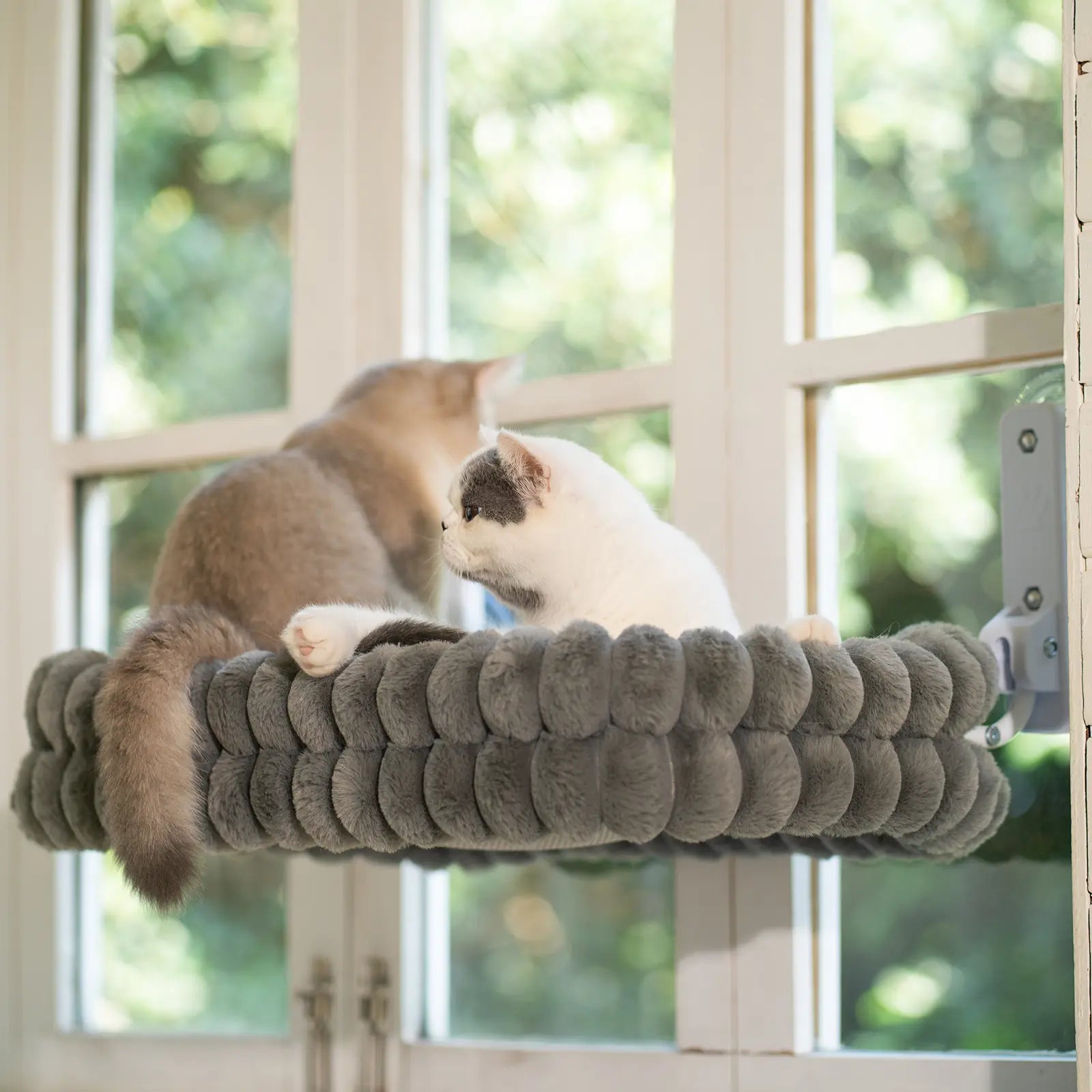 Folding Cat Hammock for Window - Cordless, Machine Washable Bed, Robust Metal Frame, Strong Suction Cups，Cat Window Perch for Cats and Small Dogs #Dealsforyoudays