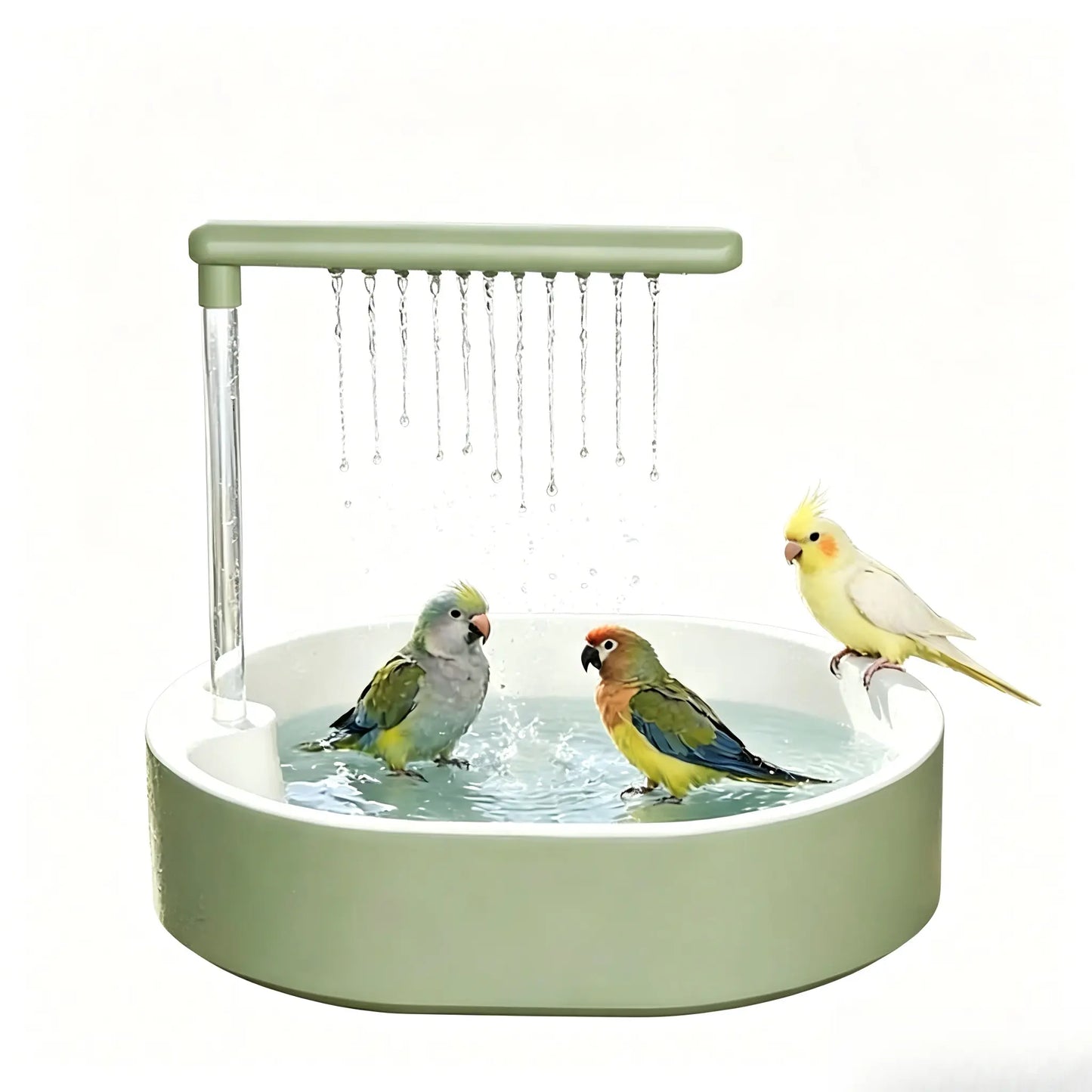 Automatic Bird Bath with Water Shower and Wooden Perch for Cockatiels and Budgies